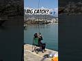 Did he catch anything? 🎣👀 #shorts