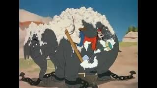 The Big Wash - Two Goofy Hollers