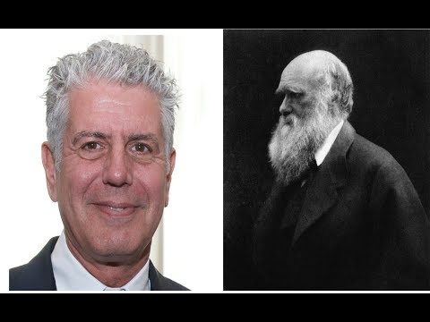 Video: Evolutionary theory: Darwin's 