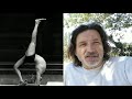 Stage de yoga Iyengar " des pieds à la tête " avec Serge Gastineau