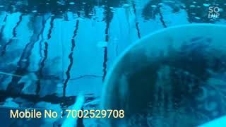 Continuous Sludge Removal Process | Biofloc fish farming | Biofloc Setup | Contact:7002529708