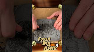 Relaxing Fossil Dig Pt.4