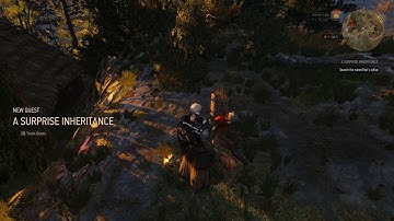 The Witcher 3: A surprise inheritance treasure hunt