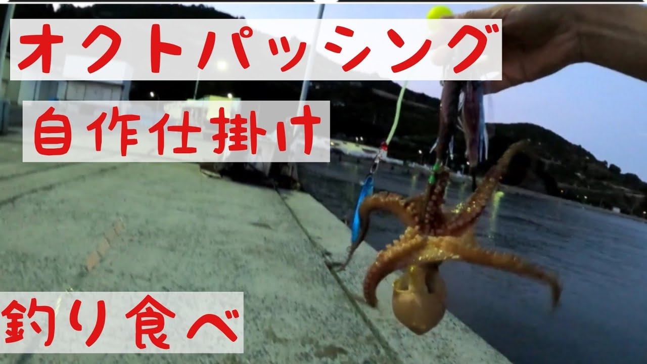 6月 オクトパッシング 自作タコ仕掛け タコパラスッテ風 Youtube