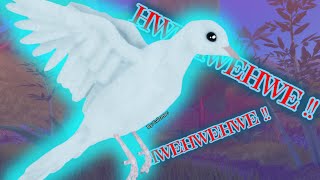 New DOVE on Feather Family!!