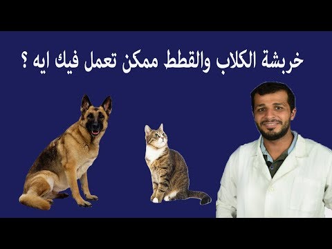 فيديو: عضات الكلاب في الولايات المتحدة تصل إلى 