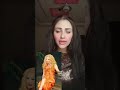 الفنانه صباح بتحكي عن قسوة والدها رفض يعالجها نادين يحيي الفنانه صباح بتحكي عن قسوة والدها رفض يعالجها نادين يحيي