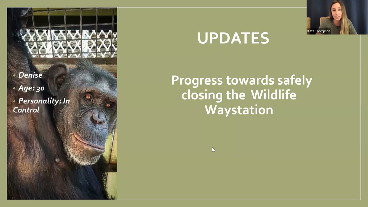 Chimpanzees in Need Insider Briefing August 16, 2022