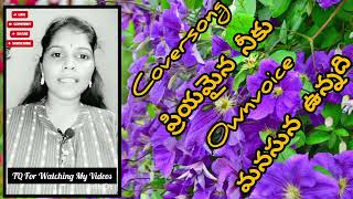 Manasuna Unnadi Song(ప్రియమైన నీకు) Movie @Sailu1991