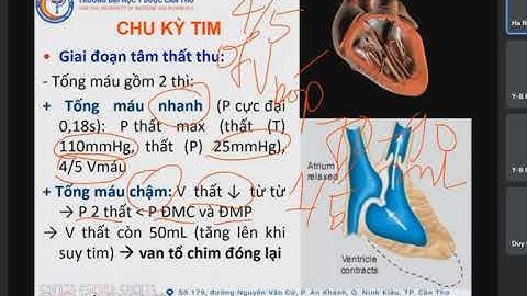 SINH LÝ TIM MẠCH