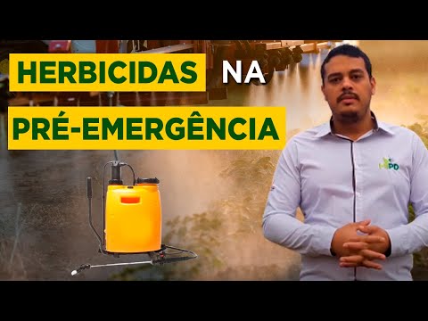 Vídeo: O que significa pré emergente?