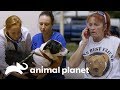 Cão levado por enchente é encontrado vivo | Pit bulls e condenados | Animal Planet Brasil