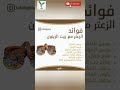 فوائد الزعتر مع زيت الزيتون أطعمة صحة فوائد معلومات