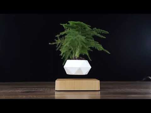 Magnetisch schwebender Bonsai Topf
