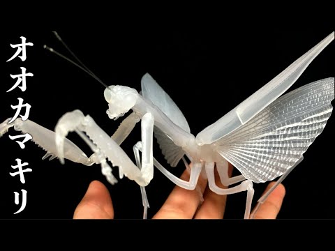 100 買うべき 人気すぎて手に入らないカマキリガチャが凄すぎる Youtube 100 買うべき 人気すぎて手に入らないカマキリガチャが凄すぎる Youtube