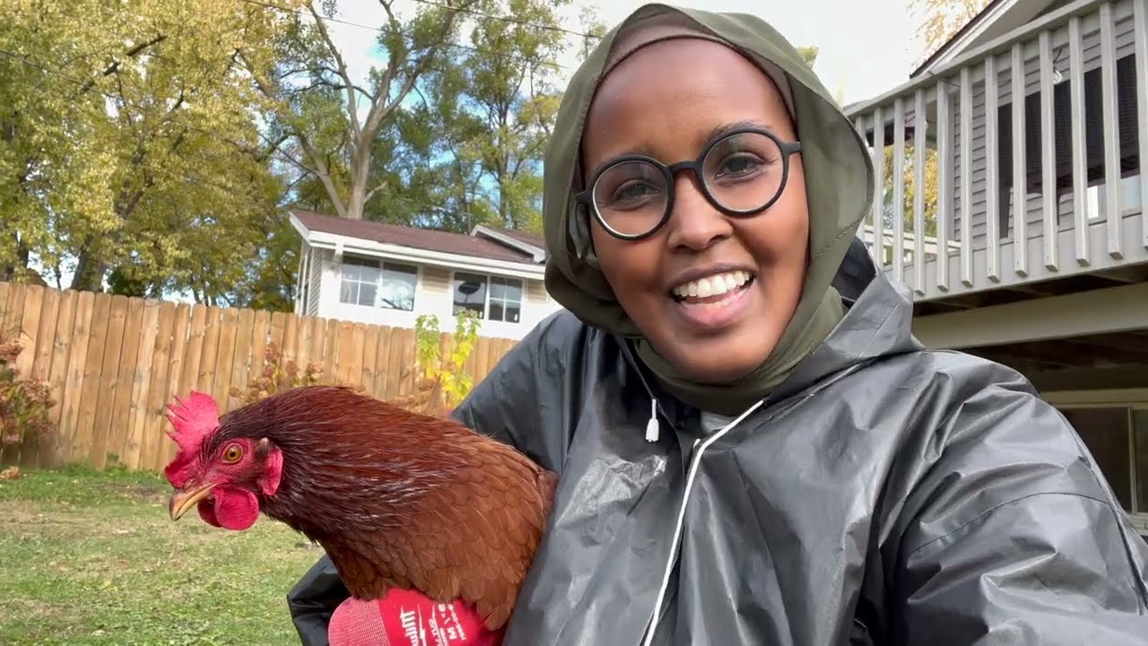 Somali Minnesota Tarxiil iyo Baraf 🌿 Ukunta Ugu Horeysa Beertayda