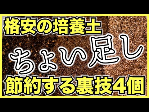 【鉢の土代を節約】底に詰めるおすすめ素材6選