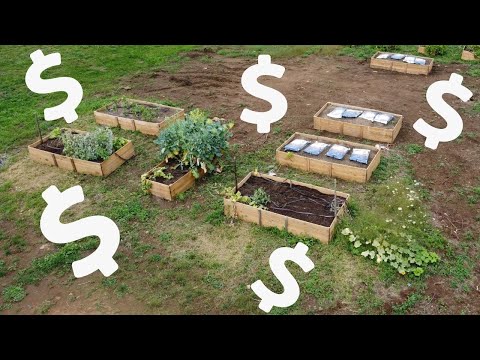 Vidéo: Garden Money Making Tips - Pouvez-vous gagner de l'argent en jardinant