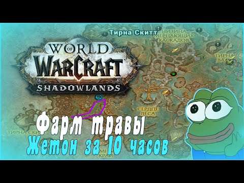 ☘️ЛУЧШИЙ СПОСОБ ФАРМА ГОЛДА! 🔝ЖЕТОН ЗА 10 ЧАСОВ. World of Warcraft Shadowlands 9.0.5.