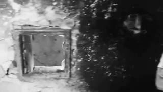 Sava Savanovic Se Vratio okantno