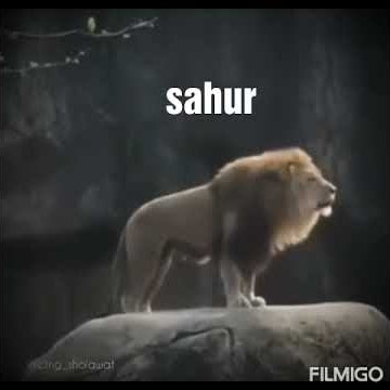 Singa sahur