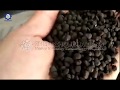 8 to 10 tons Organic Fertilizer Production Line