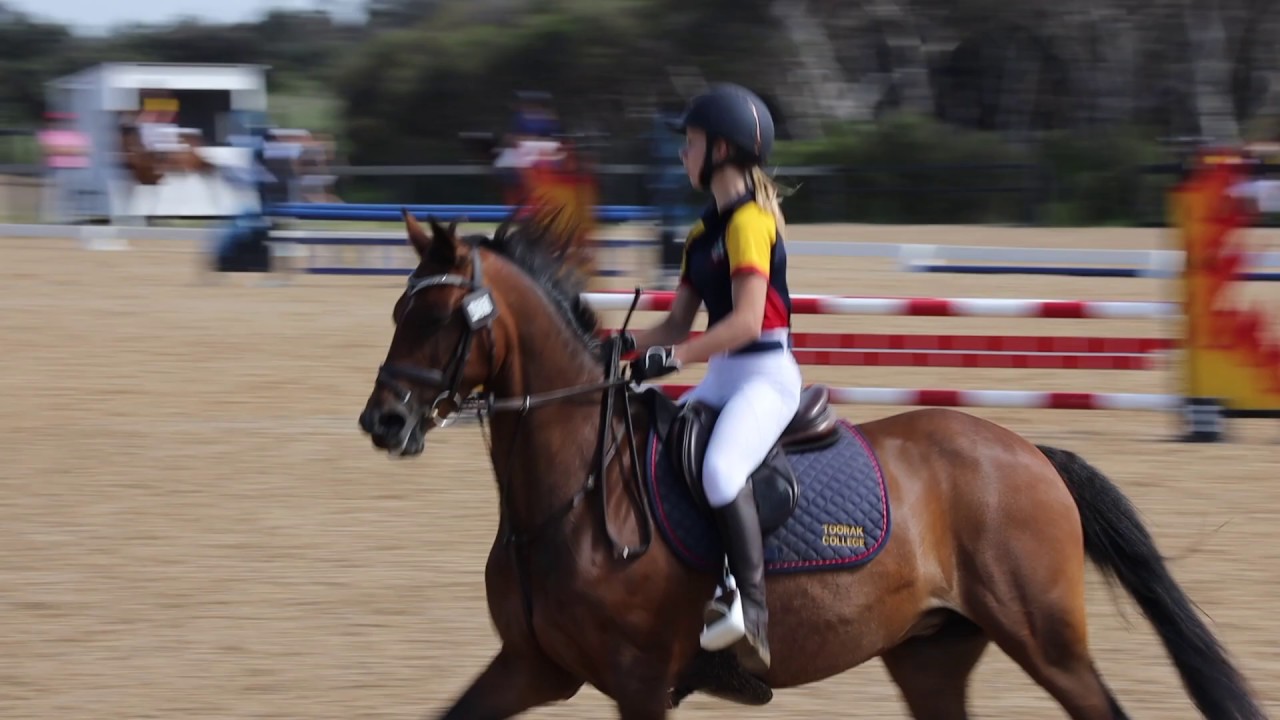 Toorak College Equestrian Show Jumping YouTube