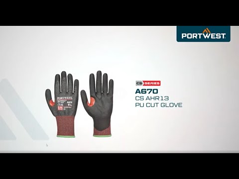 Miniatura oficial: A670 CS AHR13 PU Cut Glove