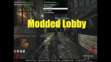 Hosting Insane World at War Modded Zombies Lobby [XBOX&PC] | Physics n Flex v2 | Tutorial + Download