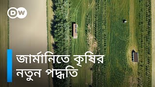 যেভাবে বদলে যাচ্ছে জার্মানির কৃষি