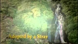 Predator deleted scene