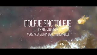 Dolfje Snotolfje en zijn vriendjes vermaken zich in de Oosterschelde