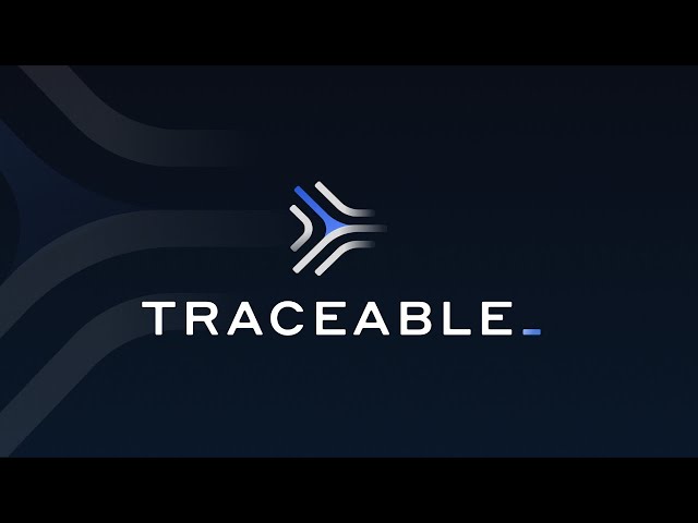 4 minute demo of Traceable AI