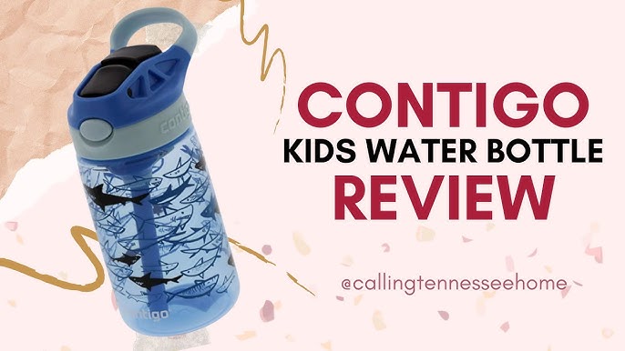 Contigo Leighton Vaccum-Insulated Kids Water Bottle with Spill