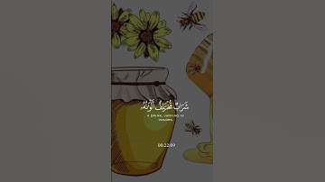 سبحان الله وبحمده🧡سبحان الله العظيم 🧡أجمل تلاوة للقارئ الشيخ خالد الجليل #سورة النحل الآية -68