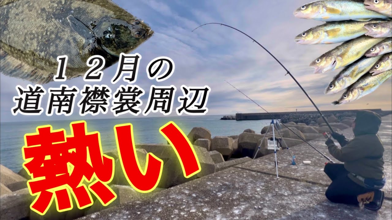 【投げ釣り】初冬の海でコマイを釣る！◯◯◯爆釣で大ピンチ⁉︎かと思いきやチャンス到来