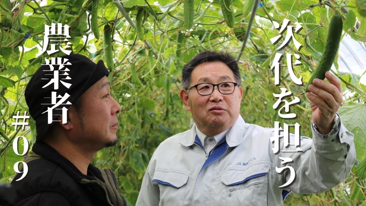 【きゅうり】次代を担う農業者(2026年1月)