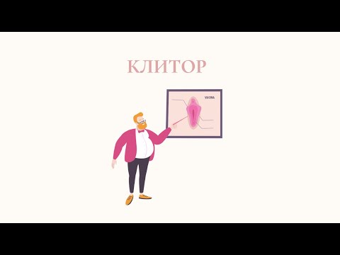 Клитор и его строение. Как найти и как пользоваться?