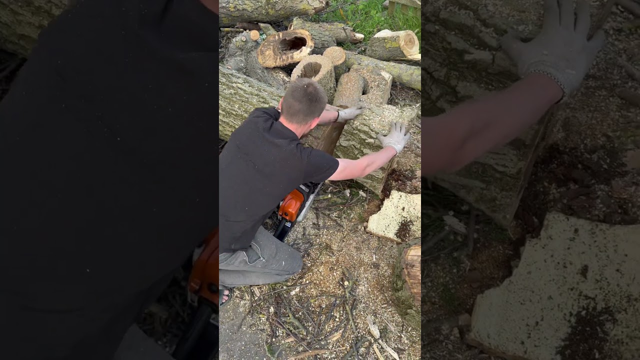 You’ve Never Seen a Chainsaw Work This Fast – Insane Wood Cutting