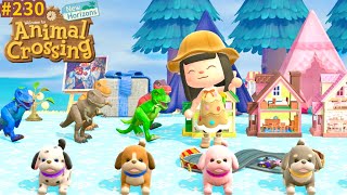 Vos jouets pour anniversaire de Morgan 🎁 + Tour de l’île de Jessica Animal Crossing New Horizons 230