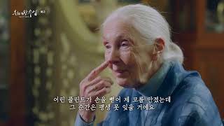 [K-MOOC × EBS 한국형 마스터클래스]  위대한 수업  ｜ 제인 구달, 나의 이야기 screenshot 2