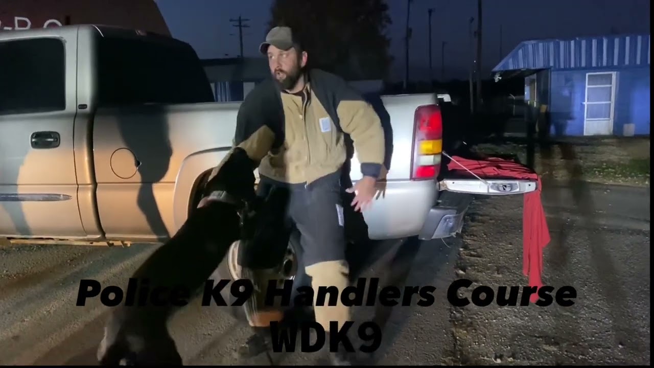 Police K9 Training (bite work)