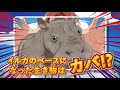 [Dolphin] Heaven's Design Team Selection PV