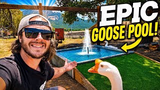 Building an EASY DIY Concrete Pond (part 2)