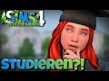🔴LIVE! *Ablenkung* durchs STUDIUM? 🎓 | Sims 4 Weltenbummler Challenge 🌍 #9 | SIMBO