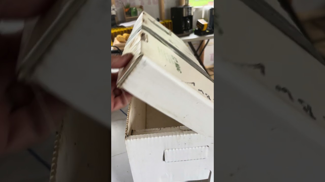 Instructions for Bringing Home and setting up a white corrugated EZ NUC Box of bees for installation