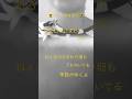 『ある日のひまわり』aiko/サビ/ピアノ弾き語り/カバー#弾き語り #ピアノ #ピアノ弾き語り #カバー #cover #coversong #歌ってみた #aiko #ピアノ練習 #ひまわり畑