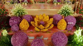 Best Wedding Decor of the Year | APCEI Nominations 2025 | Aica Events