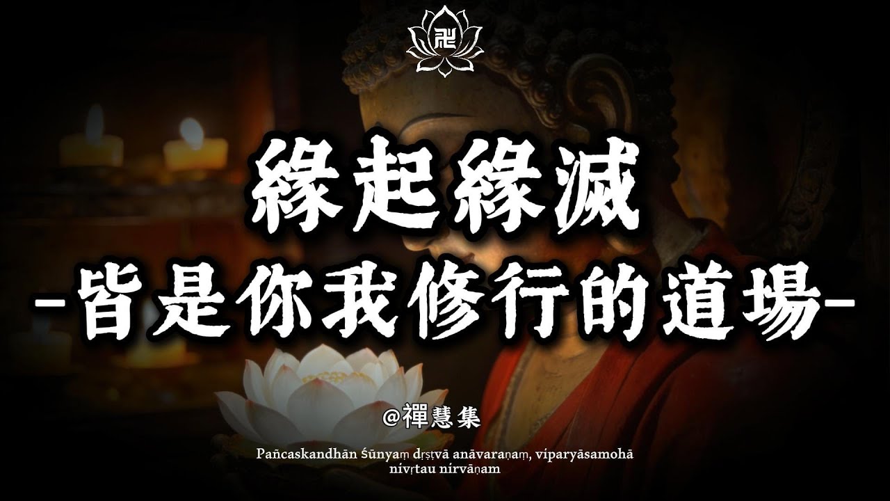 緣起則聚，緣盡則散；人生是一場共同的修行 | 禪慧集 #修行 #國學 #人生感悟 #治癒