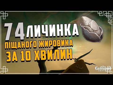 Личинка Пупа Піщаного Жировика Локація | Матеріали Вознесіння | Genshin Impact Українською